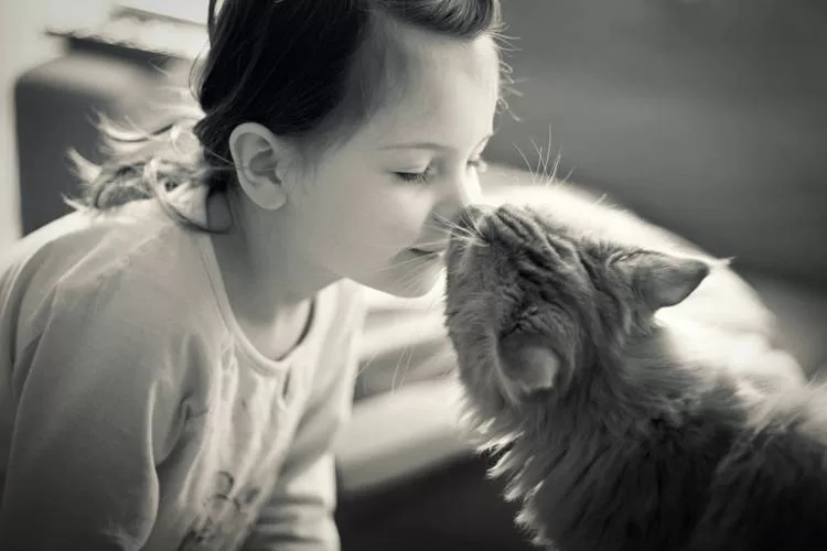 gatito besando a niño Comportamientos de juego de los gatos. Comportamientos felinos distintivos Personalidades únicas de gatos.