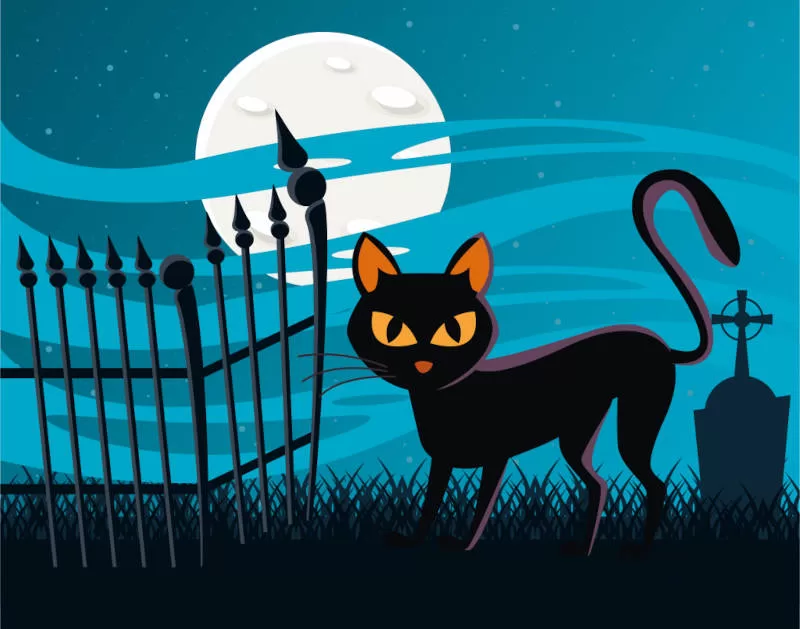 Discover the links between cats, spirituality and the mystery of the afterlife.  Illustration: cartoon black cat going to the cemetery.