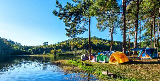 HERMOSO LUGAR EN CAMPING